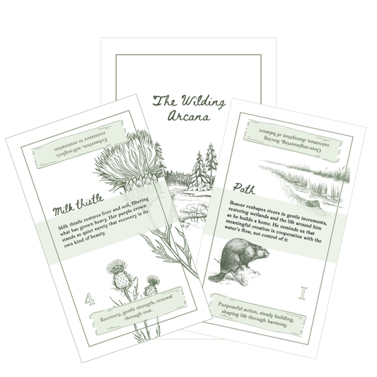 The Wilding Arcana - Tarot for Wanderers