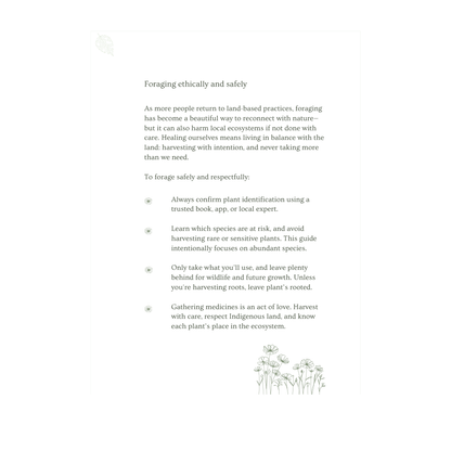 Ani's Herbcraft Field Notes