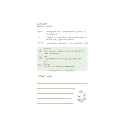 Ani's Herbcraft Field Notes